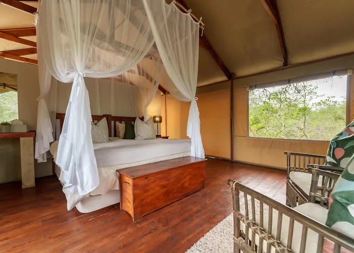 Lion Tree Top Lodge